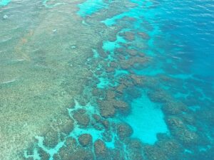 The Great Barrier Reef