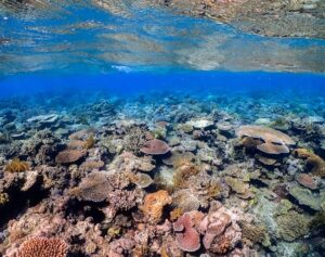 Great Barrier Reef