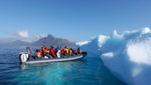 Greenland Wildlife Tour