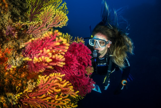 Dive into Adventure: A Guide to Unforgettable Marine Wildlife Travel