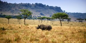 Kruger National Park