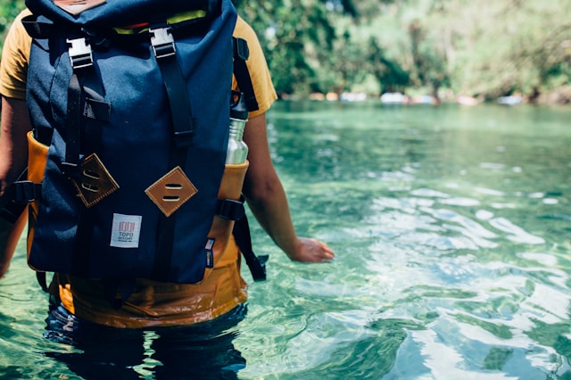 Wildlife Experiences for Solo Travelers: For the most Adventurous