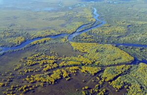 Pantanal, Brazil