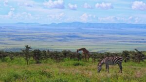 Serengeti National Park