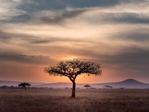 Tanzania