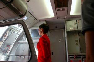 Flight Attendant