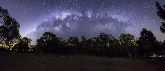 Wildlife Encounters by Night: The Best Night Experience
