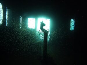 Wreck Diving in Egypt