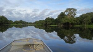 Amazon Rainforest Exploration