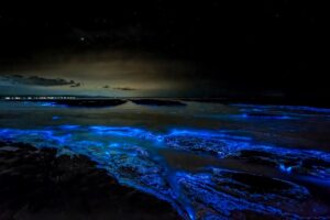 Bioluminescent Bay, Puerto Rico