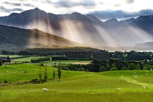 New Zealand Landscape
