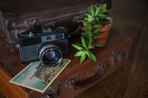 New Zealand Road Trip Tips