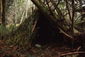 Shelter in the Amazon Rainforest