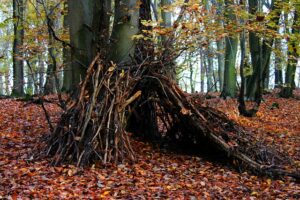 Building a Shelter