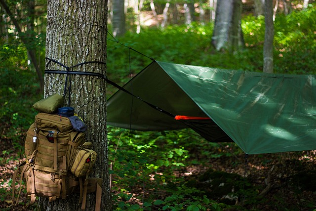 Essential Survival Skills for Wildlife Explorers