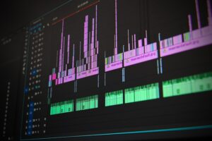 Post-production for a Wildlife Documentary
